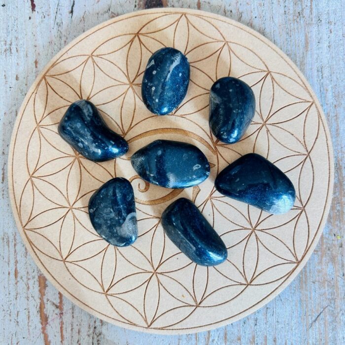 Pierre du Vatican (Vatican Stone) ou marbre de Frosterley Pierre roulée -* Boutique de minéraux La Porte des Secrets