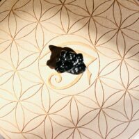 Tectite (ou roche de l'Espace) météorite boutique La Porte des Secrets