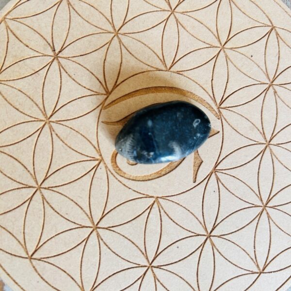 Pierre du Vatican (Vatican Stone) ou marbre de Frosterley Pierre roulée -* Boutique de minéraux La Porte des Secrets