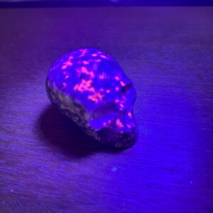 Crâne en Yooperlite (pierre de feu) 6 cm - pierre unique dans le monde - boutique La Porte des Secrets