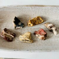 Bois pétrifié pierres roulées artisanales - appelé aussi bois Fossilisé ou Turitelle boutique La Porte des Secrets