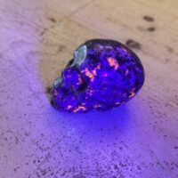 Crâne en Yooperlite (pierre de lumière) 8 cm - pierre unique dans le monde - photo sous lampe bleu - boutique pierre du monde La Porte des Secrets