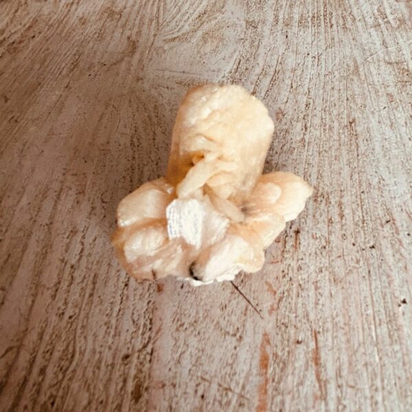 Apophyllite d'inde. Pierre de cristaux bruts - Boutique La Porte des Secrets