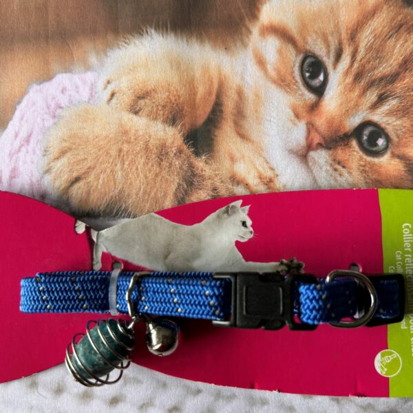 Collier pour chat de lithothérapie APATITE BLEUE - collier réglable - Boutique minéraux du monde La Porte du Secrets