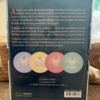 l'Oracle du Bouddhisme - 52 cartes pour atteinder la paix intérieure et le bonheur véritable . Crée par une nonne et un Lama tibétain Boutique ésotérique La Porte des Secrets