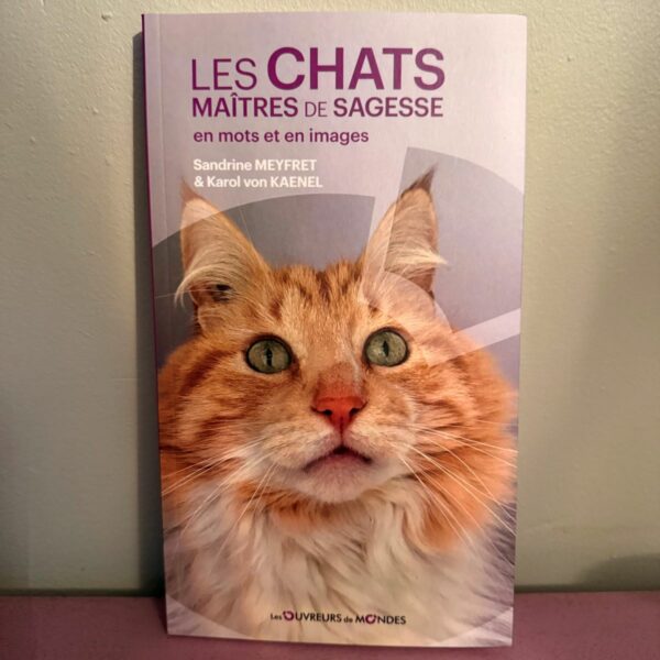 Les chats maîtres de sagesse en mots et en images. Boutique ésotérique La Porte des Secrets